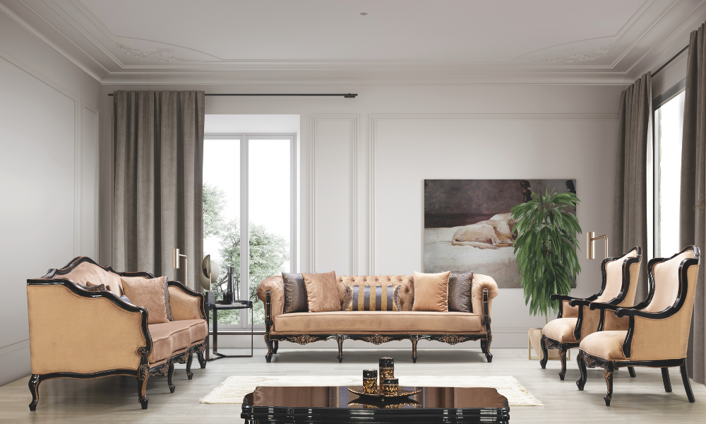 Anka Koltuk Takımı