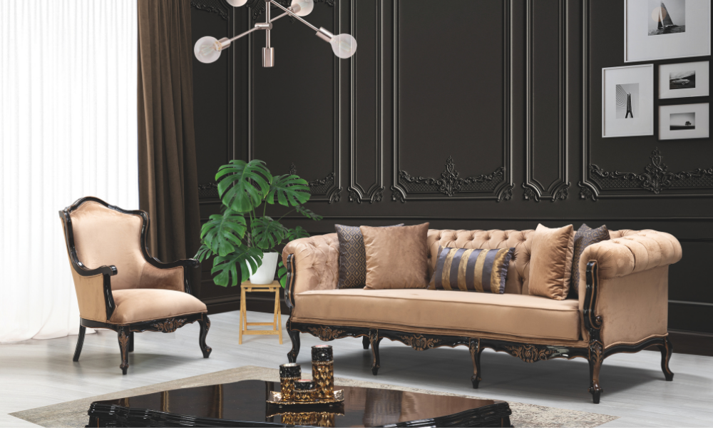 Anka Koltuk Takımı