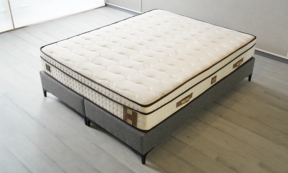 Capella Baza Başlık Seti