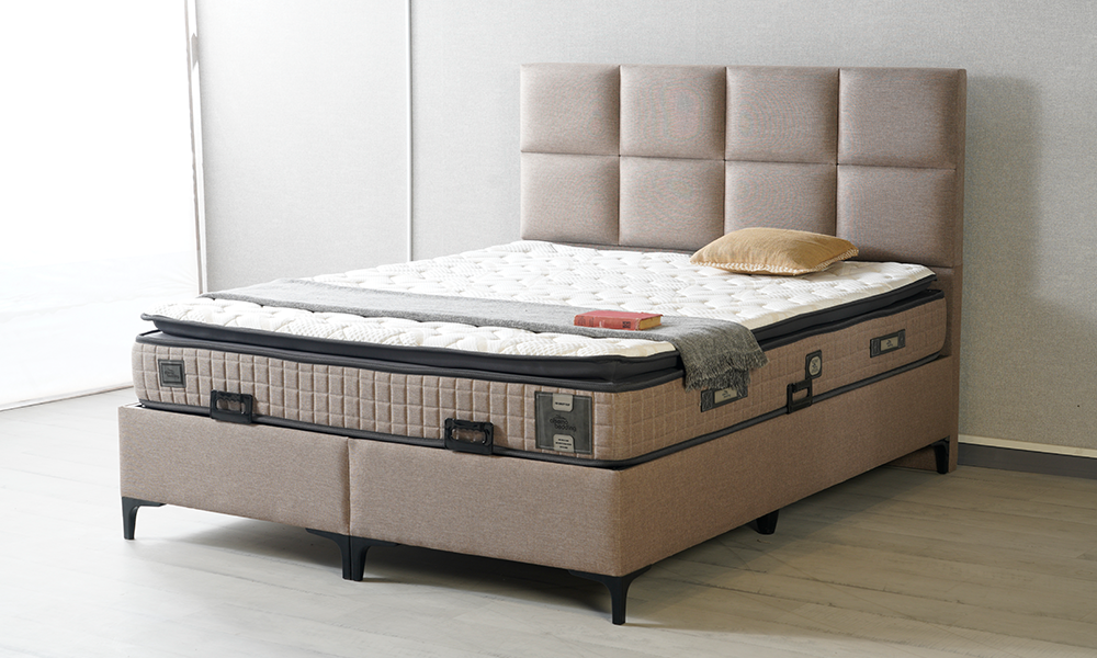 Dream Baza Başlık Seti