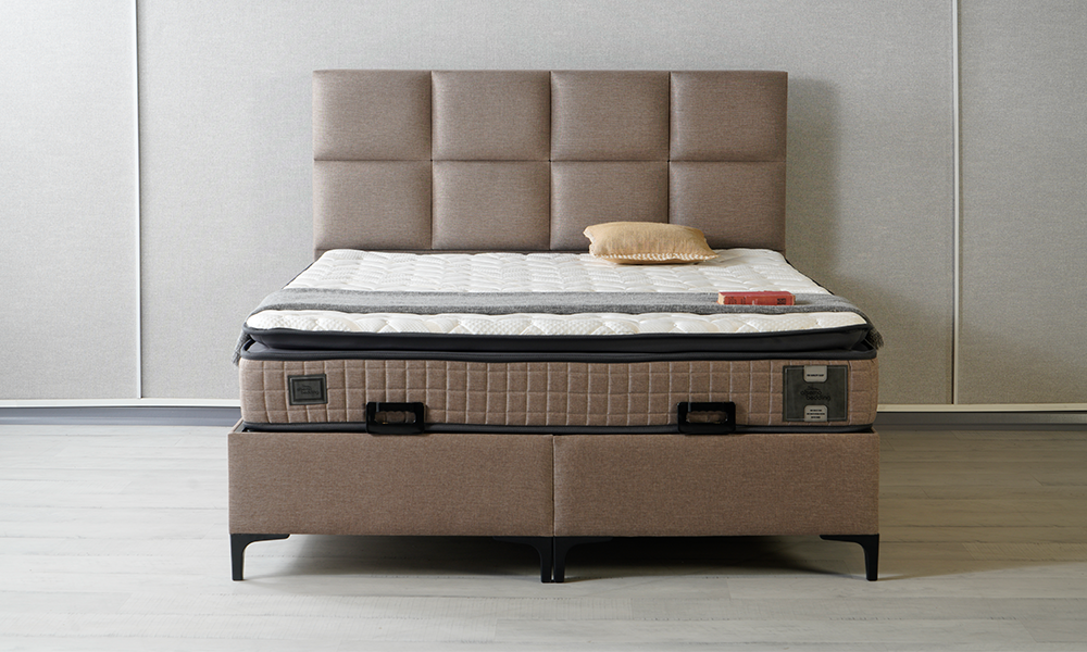 Dream Baza Başlık Seti