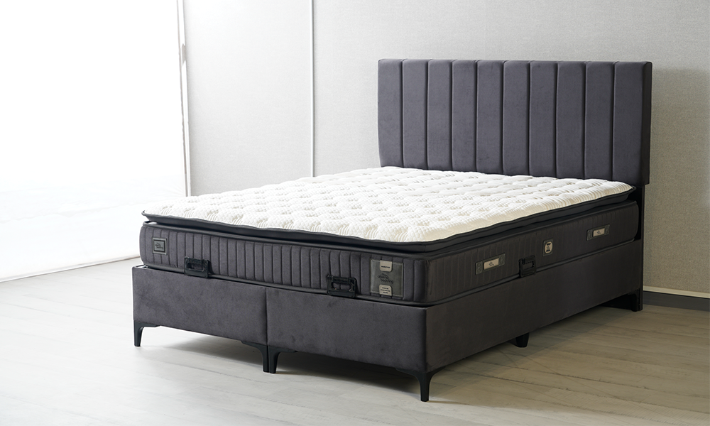 Elegance Baza Başlık Seti