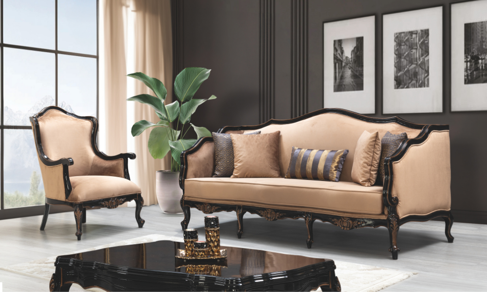 Anka Koltuk Takımı