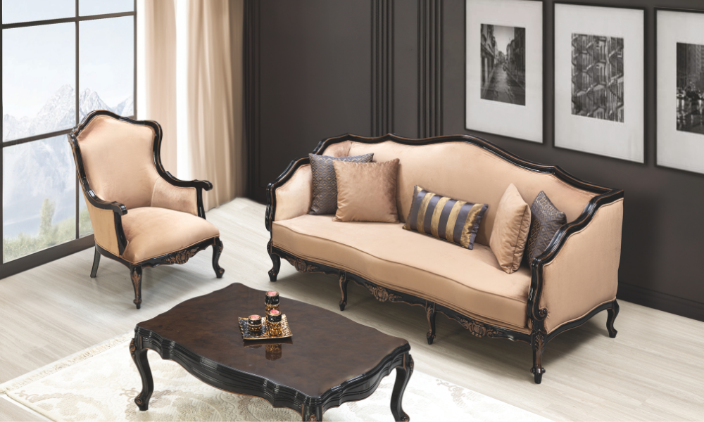 Anka Koltuk Takımı