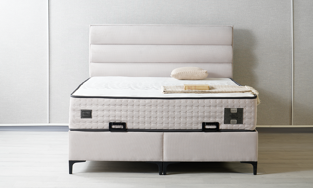 Alfa Baza Başlık Seti