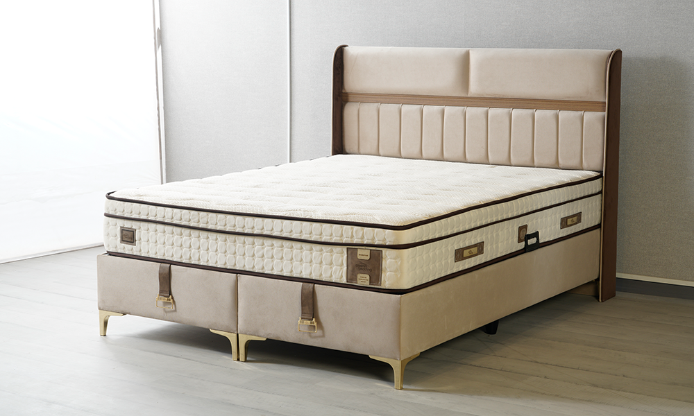 Capella Baza Başlık Seti