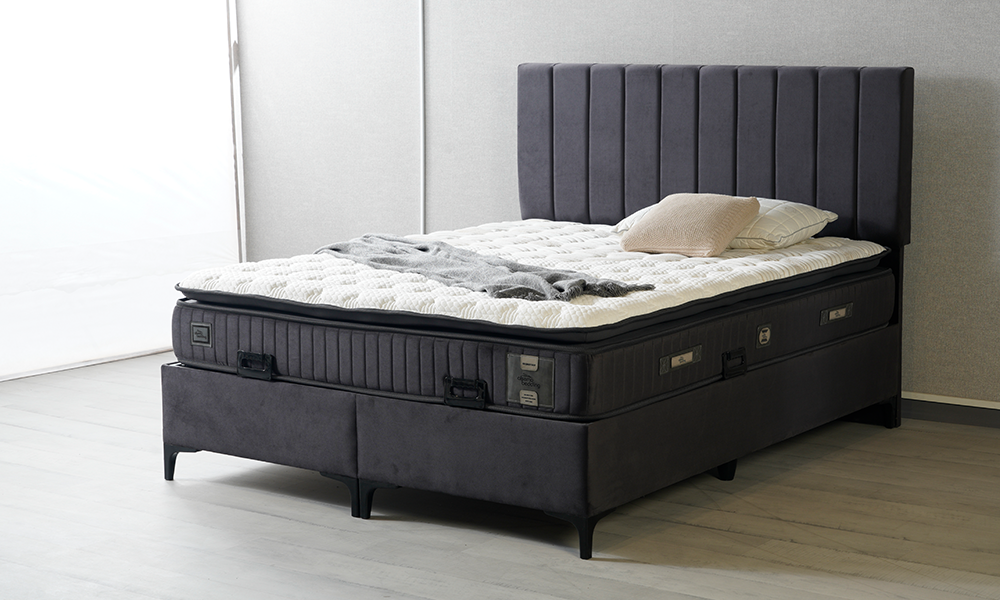 Elegance Baza Başlık Seti