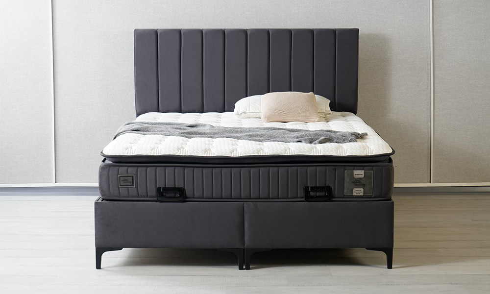 Elegance Baza Başlık Seti